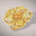 Anello