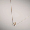 Collana